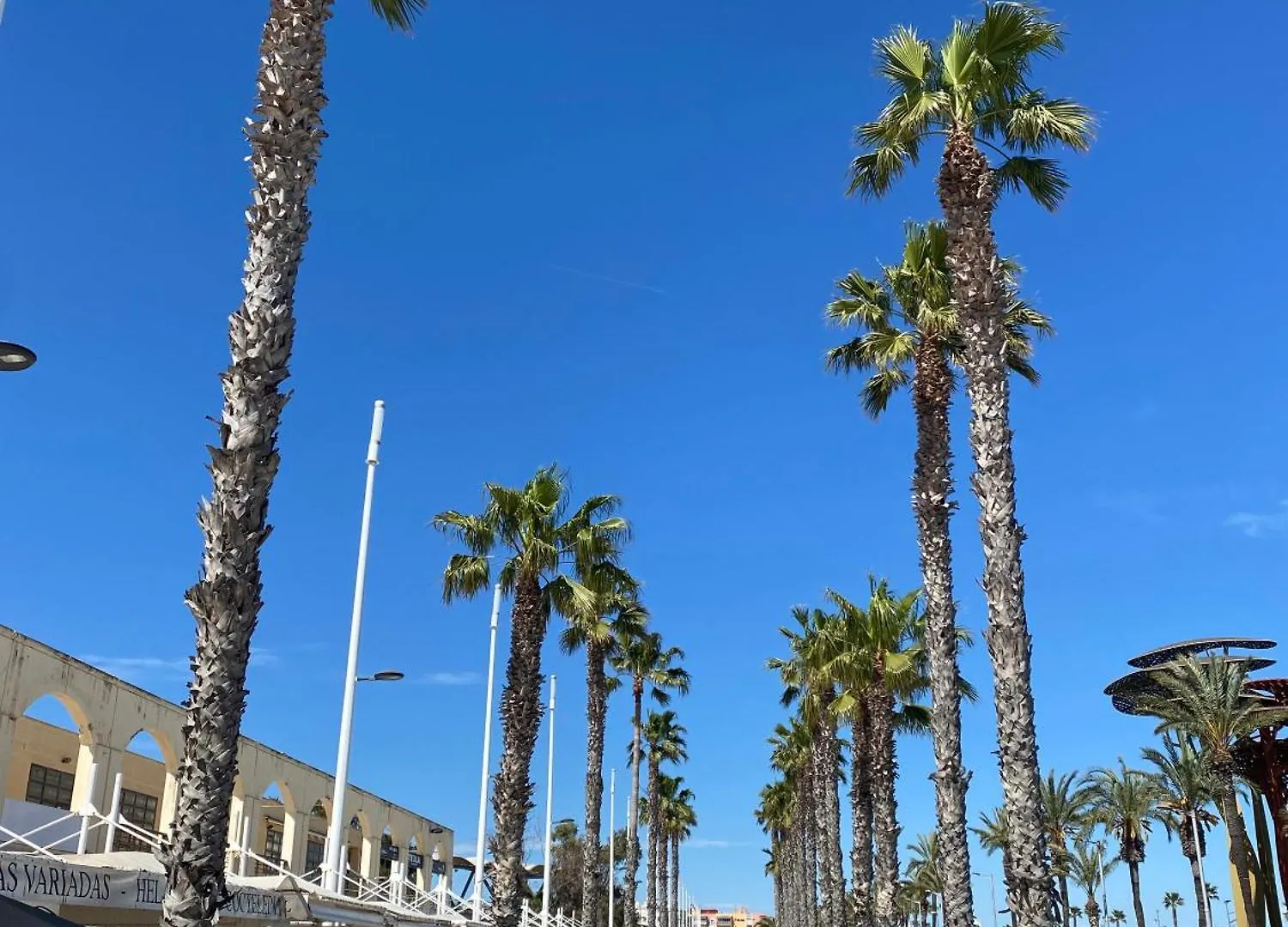 Apartment Sun And Beach Lovers 323, Building Dms-2 La Pineda